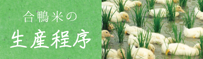 合鴨米的生產程序